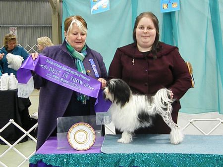 Image taken by Sue Smith @ Varieties of Bichon Club Open Show